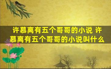 许慕离有五个哥哥的小说 许慕离有五个哥哥的小说叫什么